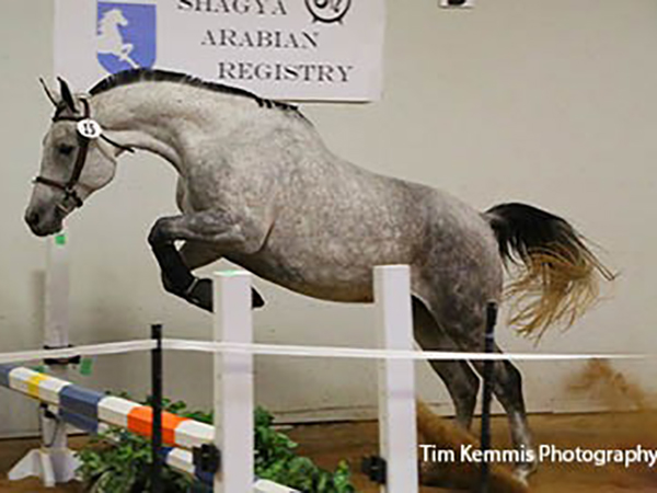 H. WineGlass Serenade